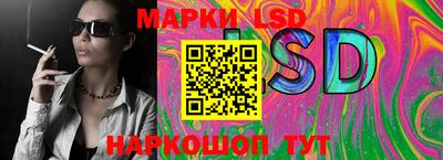 СК Новозыбков