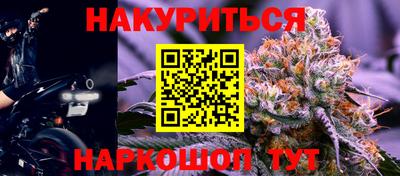 СК Новозыбков