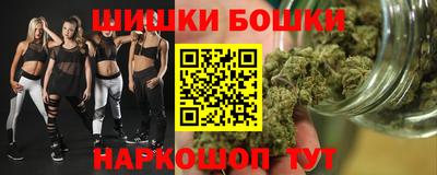СК Новозыбков