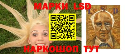СК Новозыбков