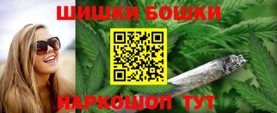 СК Новозыбков