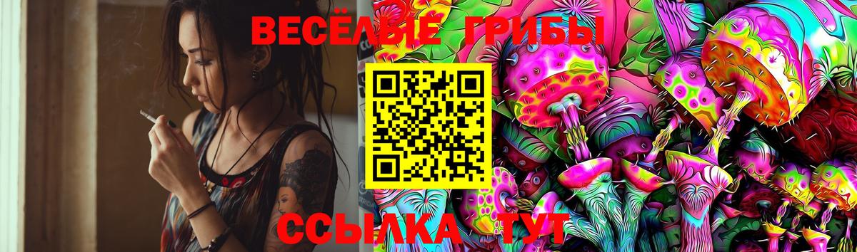 Псилоцибиновые грибы мухоморы Тосно