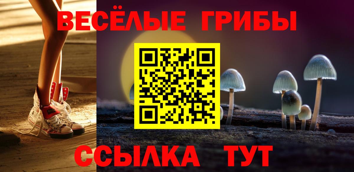 купить наркоту  Псилоцибиновые грибы MAGIC MUSHROOMS  Вход с VPN  Тосно 